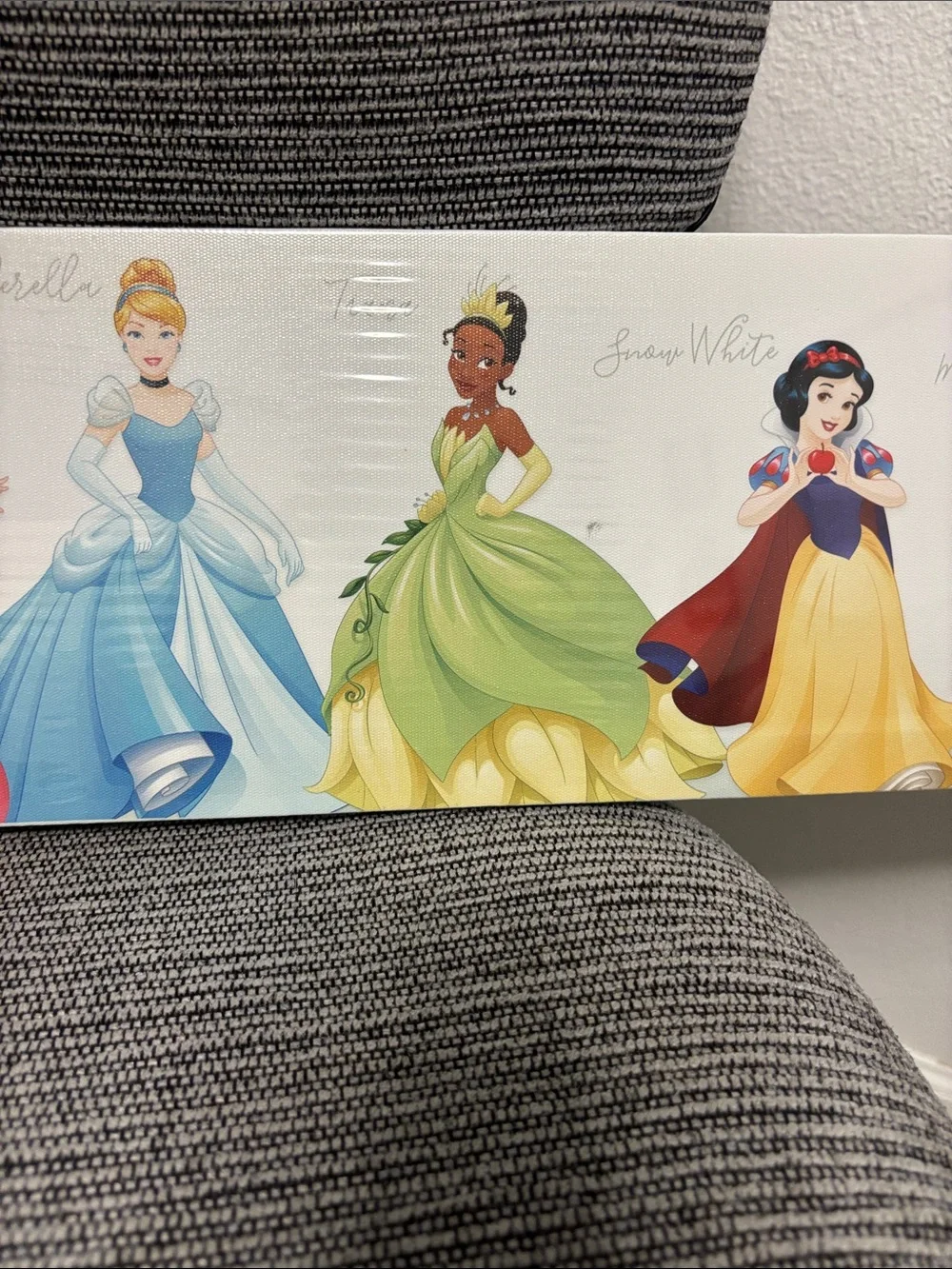 Disney Princess Canvas Panel - Pink, Yellow, Blue, Green